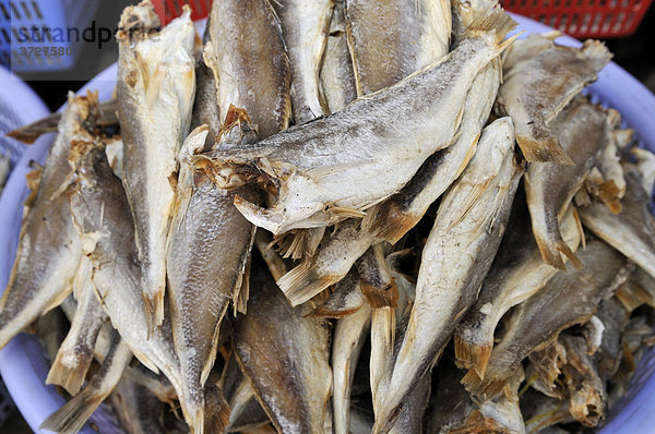 Trockenfisch liegt in einer Plastikschüssel  Fischmarkt  Vinh Long  Mekongdelta  Vietnam  Asien