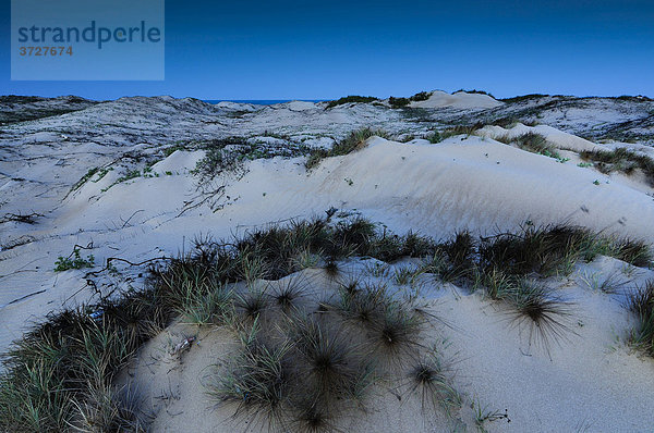 Sanddünen bei Mondlicht  Ke Ga  Vietnam  Asien