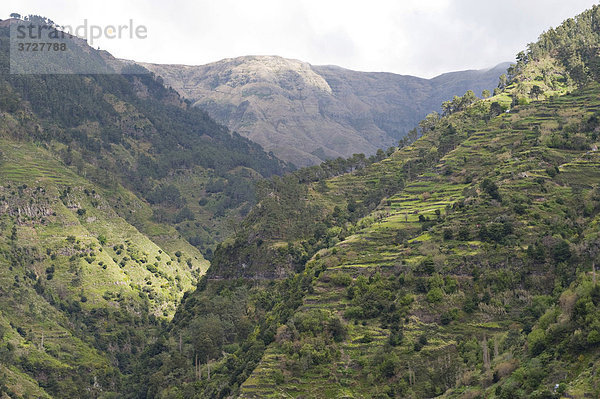 Blick zum Tal Lombo das Tercas von der Levada Nova  Madeira  Portugal