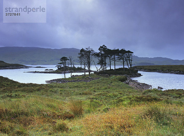 Düstere Stimmung über dem Loch Assynt  Highlands  Schottland  Vereinigtes Königreich
