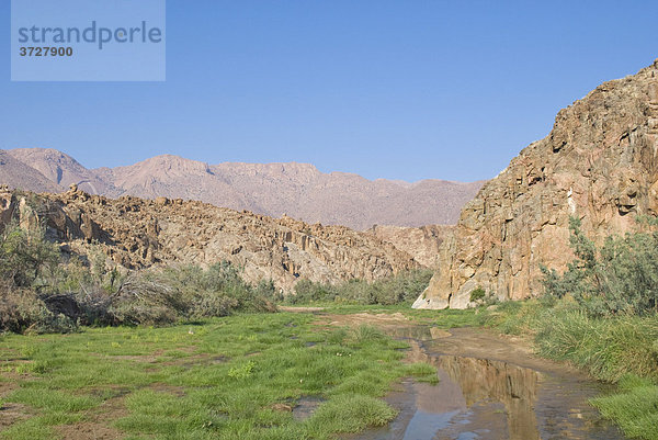 Ugab River beim Brandberg  Namibia  Afrika