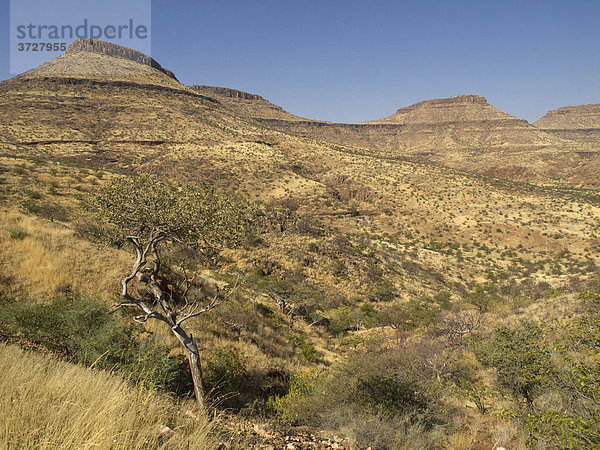 Landschaft am Grootberg-Pass  Namibia  Afrika