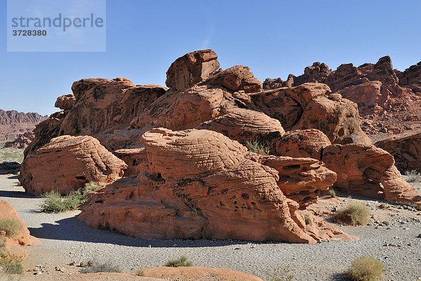 Felsformation der Beehives  Valley of Fire State Park  Nevada  USA