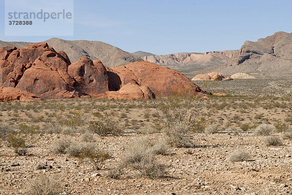 Rote und braune Felsformationen  Valley of Fire State Park  nordöstlich von Las Vegas  Nevada  USA