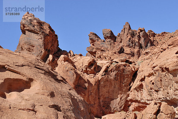 Rote Sandsteinformation im Valley of Fire State Park  nordöstlich von Las Vegas  Nevada  USA