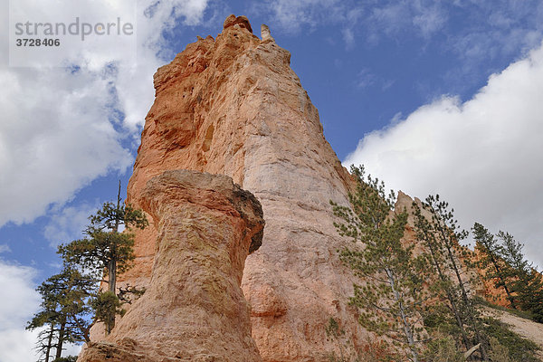 Kalkstein-Felstürme  Hoodoos  Bryce Canyon National Park  Utah  USA