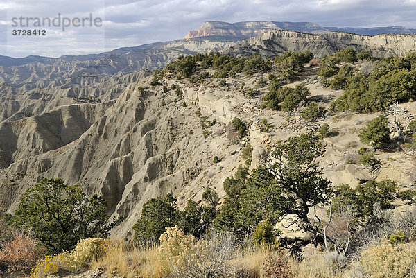 Ausblick vom Powell Point bei Henryville am Highway 12  Utah  USA