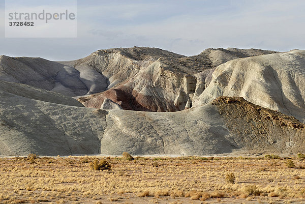 Vielfarbige Sandsteinformation  sog. Chinle Formation am Highway 24 vor Caineville  Utah  USA