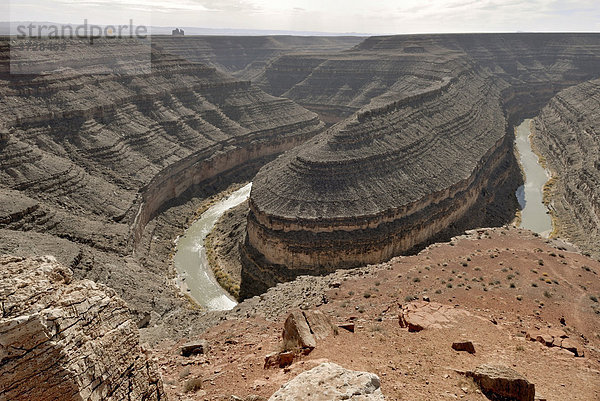 Mäander-Schleife des San Juan River  canyonartig in verschiedene Gesteinsschichten eingegraben  Goosenecks State Park  Utah  USA