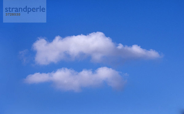 Langgezogene Cumuluswolken am blauen Himmel