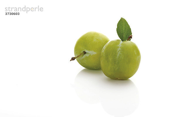 Reneklode (Prunus italica)  Reineclauden mit Blättchen