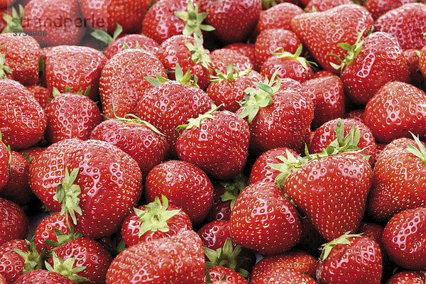 Erdbeeren formatfüllend