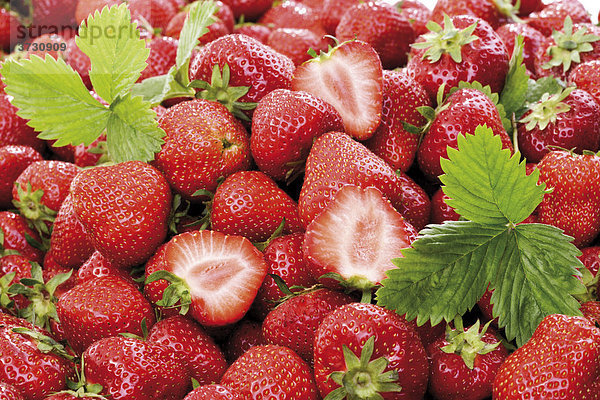 Erdbeeren mit Blättchen formatfüllend
