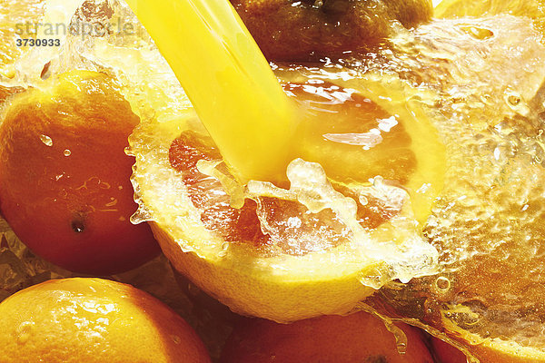 Zitrusfrüchte unter Fruchtsaft-Strahl  Orangen  Zitronen