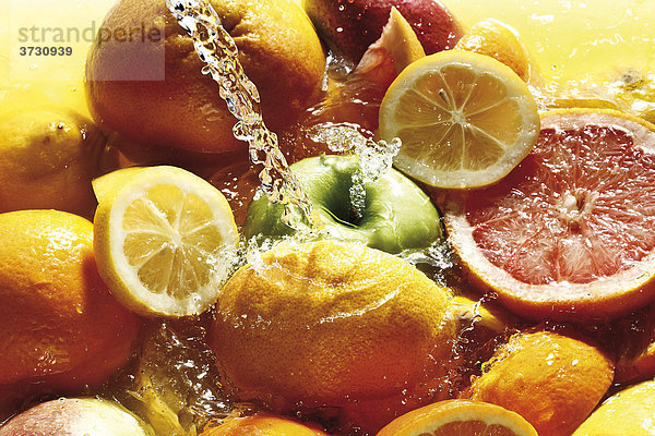 Früchte unter Wasserstrahl  Orangen  Zitronen  Grapefruit  Apfel  Ananas