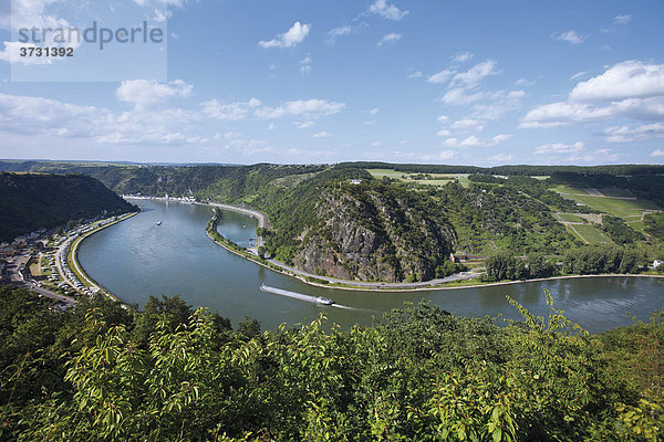 Der Rheinverlauf vor dem Loreleyfelsen  Rheinland-Pfalz  Deutschland  Europa