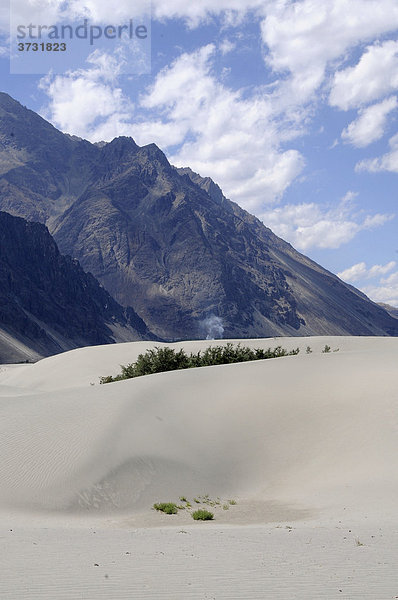 Flussdünenlandschaft im Hochgebirge im Shyoktal bei der Oase Hundar  Nubratal  Ladakh  Jammu und Kashmir  Nordindien  Indien  Asien