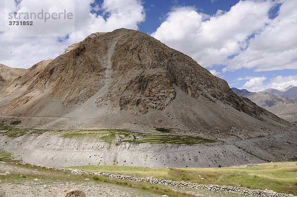 Oasen am Nebenfluss des Shyok im Nubratal  Gerstenanbau auf ca. 4000 müNN  Ladakh  Jammu und Kashmir  Nordindien  Indien  Asien