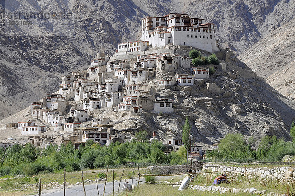 Kloster Chemre  Ladakh  Indien  Asien