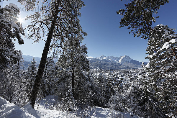 Blick über Garmisch-Partenkirchen zum Wettersteingebirge mit Alpspitze und Zugspitze  Werdenfelser Land  Oberbayern  Bayern  Deutschland