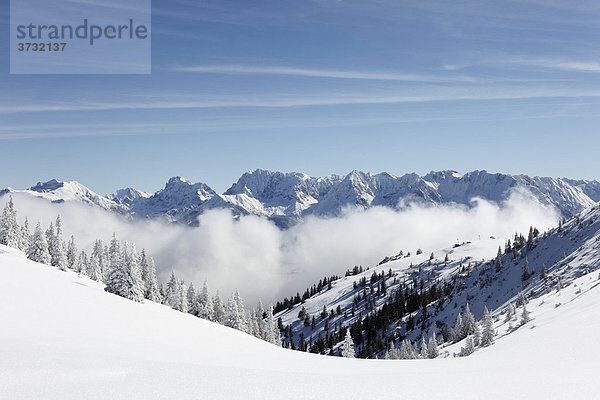 Winterlandschaft auf Wank nahe Garmisch-Partenkirchen  hinten Wettersteingebirge  Werdenfelser Land  Oberbayern  Bayern  Deutschland