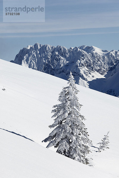 Winterlandschaft auf Wank nahe Garmisch-Partenkirchen  hinten Wettersteingebirge  Werdenfelser Land  Oberbayern  Bayern  Deutschland