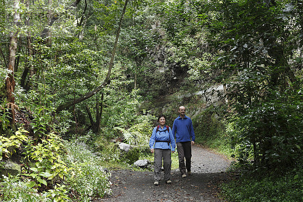Paar auf Waldweg im Lorbeerwald  Cubo de la Galga  Biosphärenreservat El Canal y Los Tilos  La Palma  Kanaren  Kanarische Inseln  Spanien Biosphärenreservat