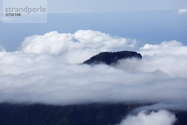 Pico Bejenado im Wolkenmeer  Nationalpark Caldera de Taburiente  La Palma  Kanarische Inseln  Kanaren  Spanien Caldera de Taburiente Nationalpark