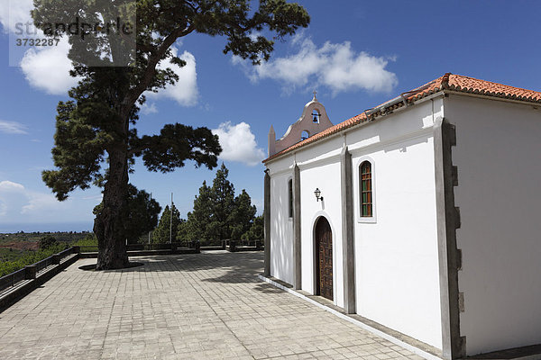 Kapelle Ermita de la Virgen del Pino  Kanaren-Kiefer (Pinus canariensis)  La Palma  Kanaren  Kanarische Inseln  Spanien  Europa