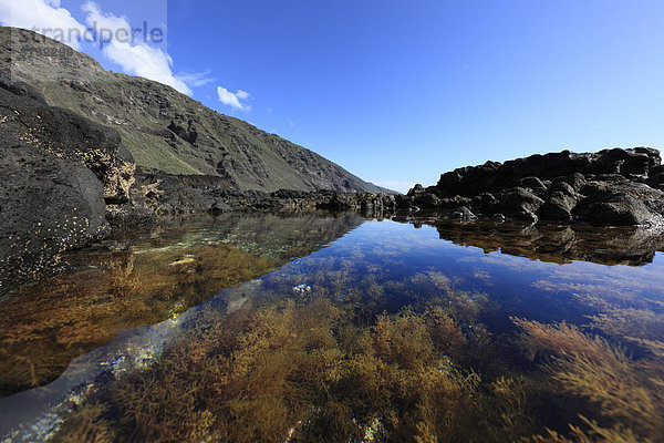 Gezeitentümpel in Felsküste  Landschaftsschutzgebiet Paisaje protegido del Remo  La Palma  Kanaren  Kanarische Inseln  Spanien  Europa