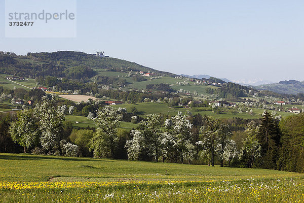 Sonntagsberg  Moststraße  Mostviertel  Niederösterreich  Österreich  Europa