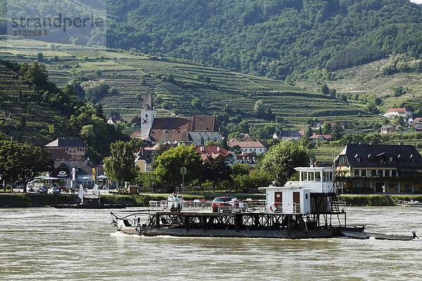 Autofähre über Donau bei Spitz  Wachau  Niederösterreich  Österreich  Europa