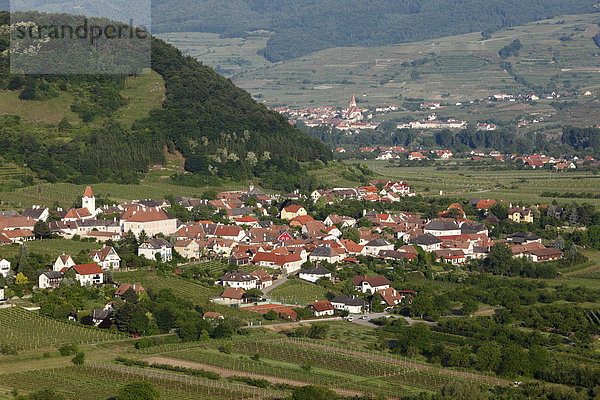 Rossatz und Weißenkirchen  hinten  Blick von Burguine Dürnstein  Donautal  Wachau  Niederösterreich  Österreich  Europa