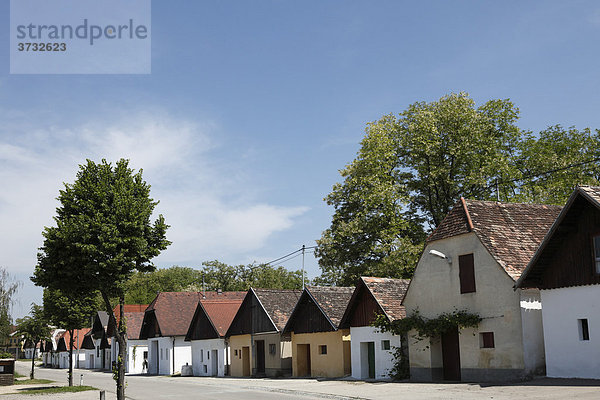 Presshäuser  Kellergasse  Kellertrift  in Jetzelsdorf  Gemeinde Haugsdorf  Weinviertel  Niederösterreich  Österreich  Europa