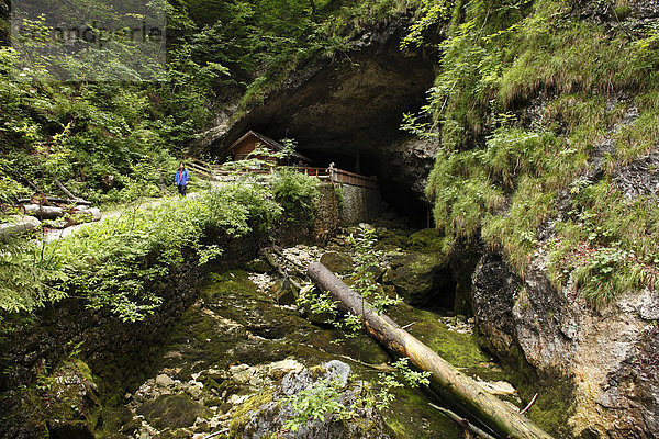 Koppenbrüllerhöhle  Obertraun  Salzkammergut  Oberösterreich  Österreich  Europa