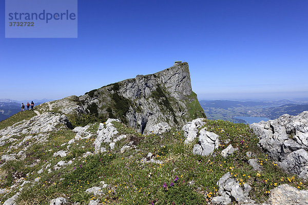 Schafberg  Salzkammergut  Land Salzburg  Salzburger Land  Österreich  Europa