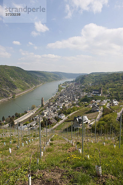 Blick auf das Weinstädtchen Oberwesel am Rhein  mit dem Weingut Winfried Persch  mit der Kirche St Martin und der Liebfrauenkirche  hinten Schloss Schönburg  Oberwesel  Rhein-Hunsrück-Kreis  Rheinland-Pfalz  Deutschland  Europa