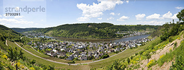 Blick auf das Moselstädtchen Alken  Alken  Rhein-Hunsrück-Kreis  Rheinland Pfalz  Deutschland  Europa