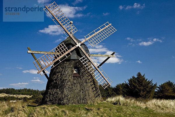 Alte  mit Heidekraut verkleidete Windmühle  Jütland  Dänemark