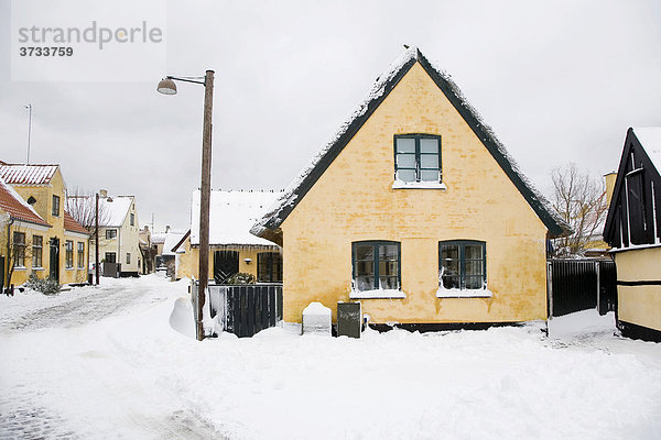 Snow-covered village Dragor  Denmark  Europe