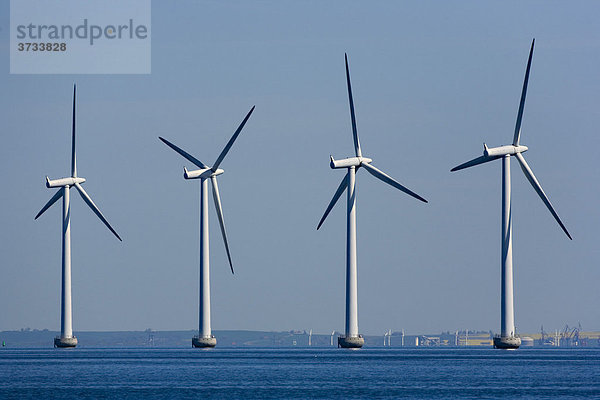 Vier Windräder  Windkraftanlage  im Meer zwischen Dänemark und Schweden  Europa