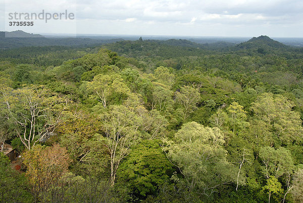 Blick vom Tempelberg Mulgirigala  Mulkirigala  auf weite tropische Wälder mit Laubbäumen  Ceylon  Sri Lanka  Südasien  Asien
