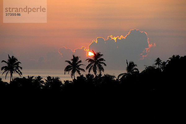 Roter Sonnenaufgang hinter Palmen und Wolken  Talalla bei Dondra  Indischer Ozean  Ceylon  Sri Lanka  Südasien  Asien