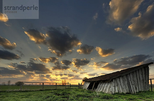 Old hut at sunrise  Pfaffenhausen  Unterallgaeu  Bavaria  Germany  Europe