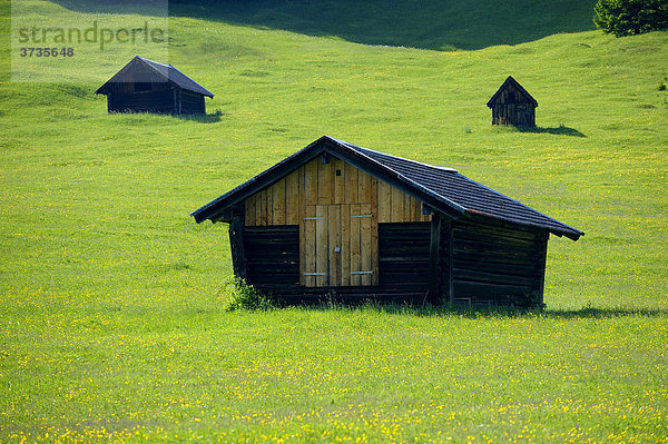 Kleine Hütten auf Frühlingswiese  Gerold  Mittenwald  Oberbayern  Bayern  Deutschland  Europa