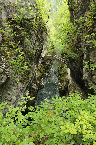Schlucht von Gorges de l'Areuse  Areuse Schlucht  mit Brücke über den Fluss  Neuch‚tel  Jura  Schweiz  Europa