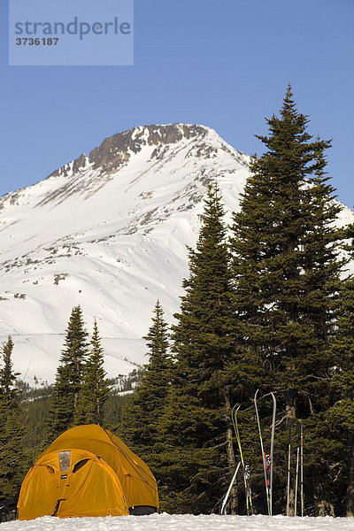 Zelte und Skier  Winterlager  dahinter der White Pass Chilkoot Pass  Chilkoot Trail  British Columbia  Kanada