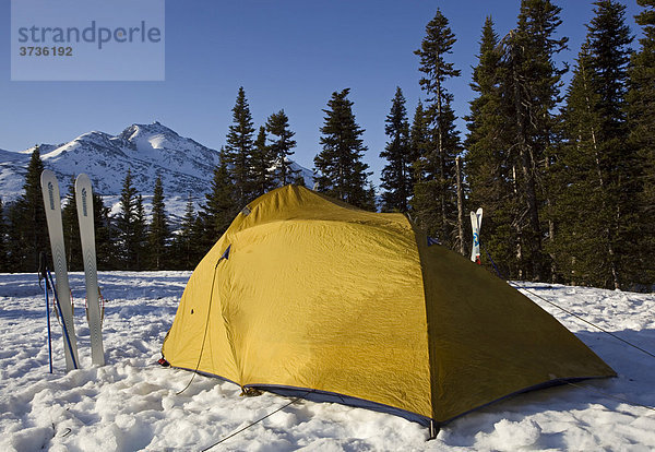 Zelte und Skier  Winterlager  dahinter der White Pass  Chilkoot Pass  Chilkoot Trail  British Columbia  Kanada