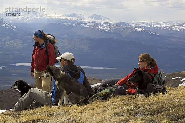 Gruppe von Wanderern und ruhende Schlittenhunde  geniessen das Panorama  Berg Mt. Lorne und Berge des Pacific Coast Gebirges dahinter  Yukon Territory  Kanada  Nordamerika