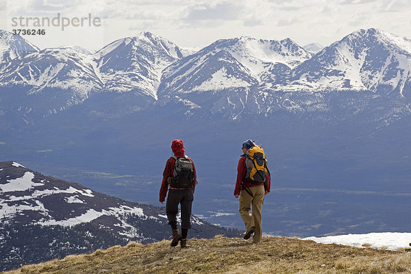 Zwei wandernde Frauen  Berg Mt. Lorne und Berge des Pacific Coast Gebirges dahinter  Yukon Territory  Kanada  Nordamerika